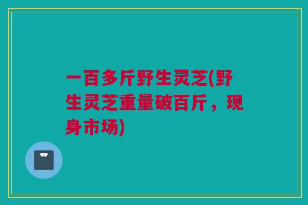 一百多斤野生灵芝(野生灵芝重量破百斤，现身市场)