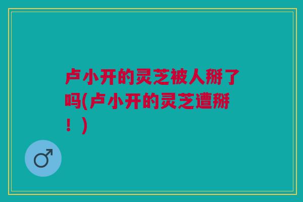 卢小开的灵芝被人掰了吗(卢小开的灵芝遭掰！)
