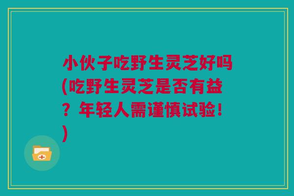 小伙子吃野生灵芝好吗(吃野生灵芝是否有益？年轻人需谨慎试验！)
