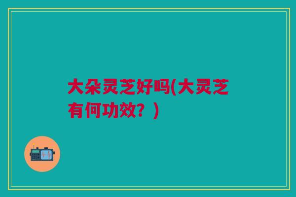 大朵灵芝好吗(大灵芝有何功效？)