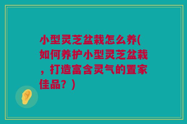 小型灵芝盆栽怎么养(如何养护小型灵芝盆栽，打造富含灵气的置家佳品？)