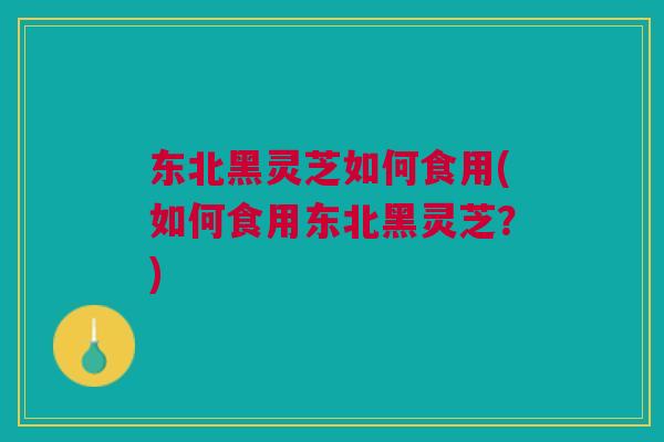 东北黑灵芝如何食用(如何食用东北黑灵芝？)