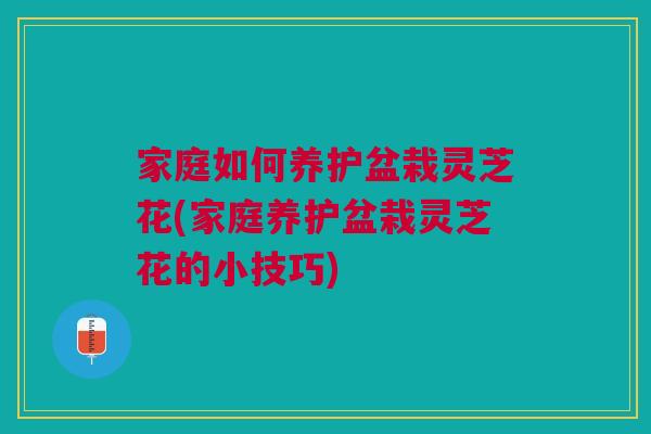 家庭如何养护盆栽灵芝花(家庭养护盆栽灵芝花的小技巧)