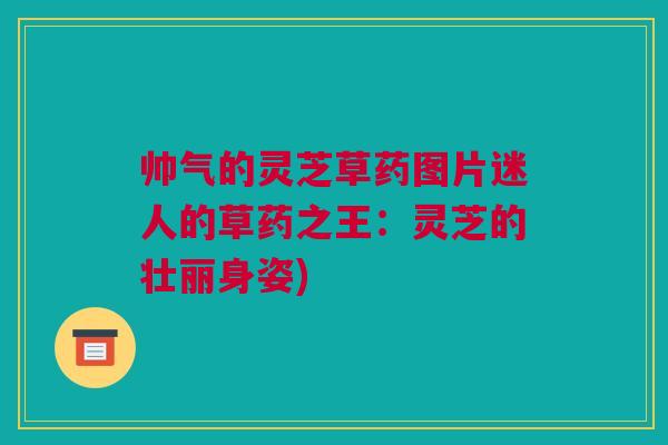 帅气的灵芝草药图片迷人的草药之王：灵芝的壮丽身姿)