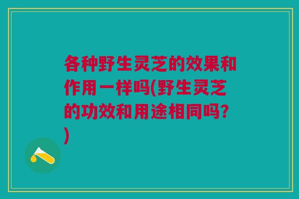 各种野生灵芝的效果和作用一样吗(野生灵芝的功效和用途相同吗？)