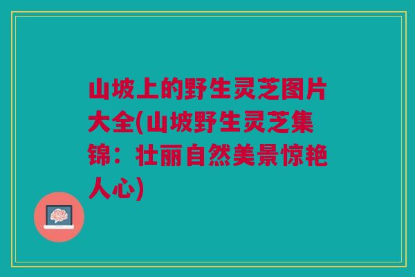 山坡上的野生灵芝图片大全(山坡野生灵芝集锦：壮丽自然美景惊艳人心)