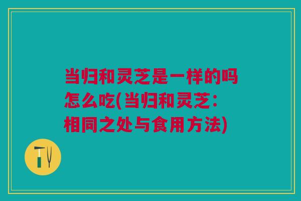 当归和灵芝是一样的吗怎么吃(当归和灵芝：相同之处与食用方法)
