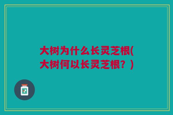 大树为什么长灵芝根(大树何以长灵芝根？)