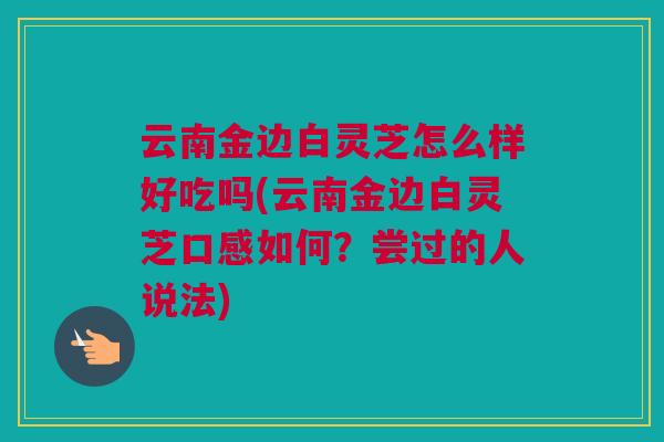 云南金边白灵芝怎么样好吃吗(云南金边白灵芝口感如何?尝过的人说法) 云南金边白灵芝怎么样好吃吗(云南金边白灵芝口感如何?尝过的人说法)