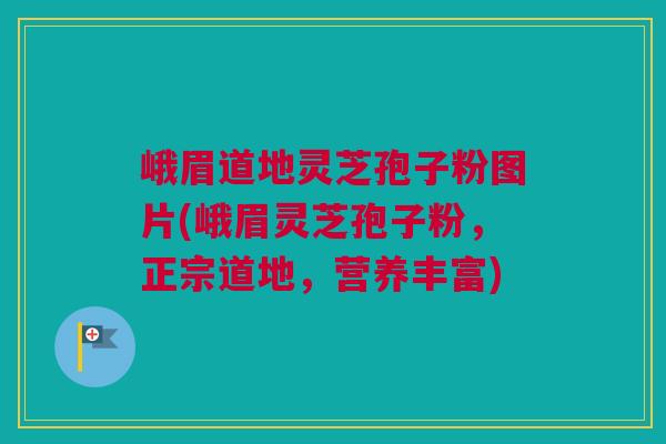 峨眉道地灵芝孢子粉图片(峨眉灵芝孢子粉，正宗道地，营养丰富)