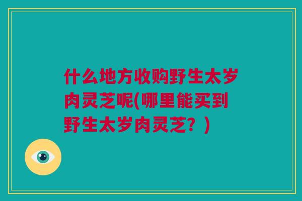 什么地方收购野生太岁肉灵芝呢(哪里能买到野生太岁肉灵芝？)