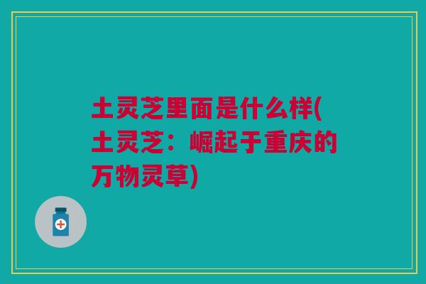 土灵芝里面是什么样(土灵芝：崛起于重庆的万物灵草)