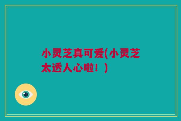 小灵芝真可爱(小灵芝太透人心啦！)