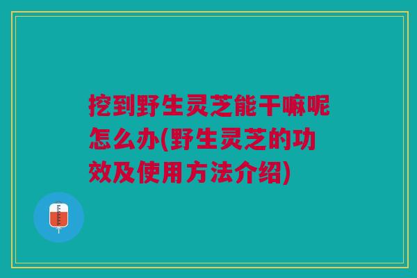 挖到野生灵芝能干嘛呢怎么办(野生灵芝的功效及使用方法介绍)