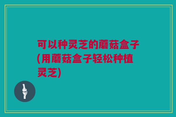 可以种灵芝的蘑菇盒子(用蘑菇盒子轻松种植灵芝)