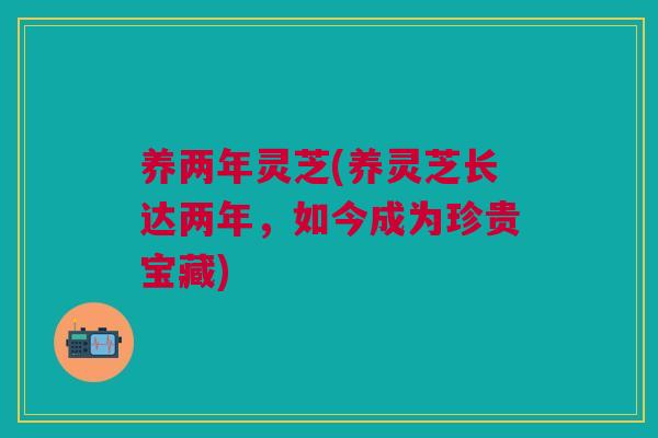 养两年灵芝(养灵芝长达两年，如今成为珍贵宝藏)