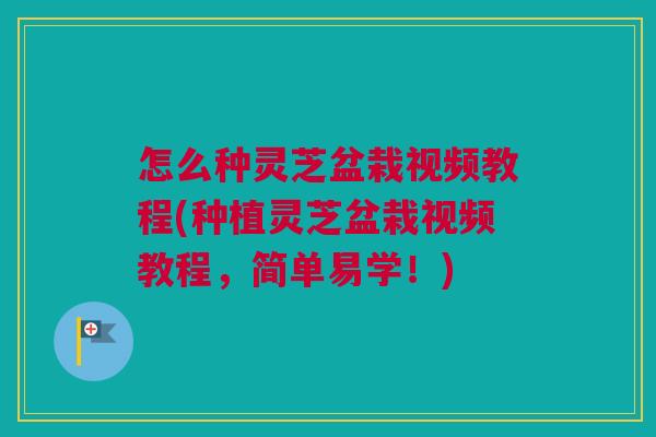 怎么种灵芝盆栽视频教程(种植灵芝盆栽视频教程，简单易学！)