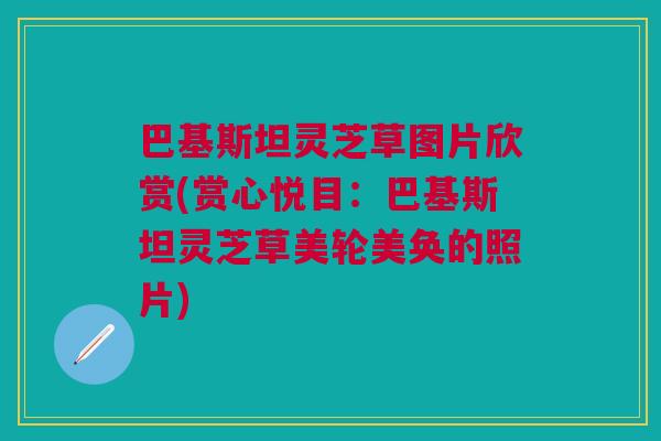 巴基斯坦灵芝草图片欣赏(赏心悦目：巴基斯坦灵芝草美轮美奂的照片)