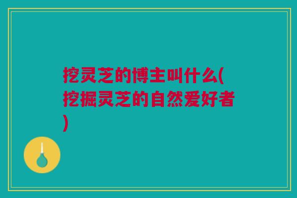 挖灵芝的博主叫什么(挖掘灵芝的自然爱好者)