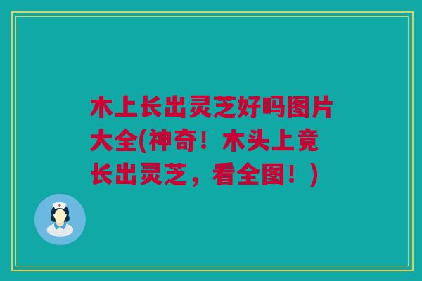 木上长出灵芝好吗图片大全(神奇！木头上竟长出灵芝，看全图！)