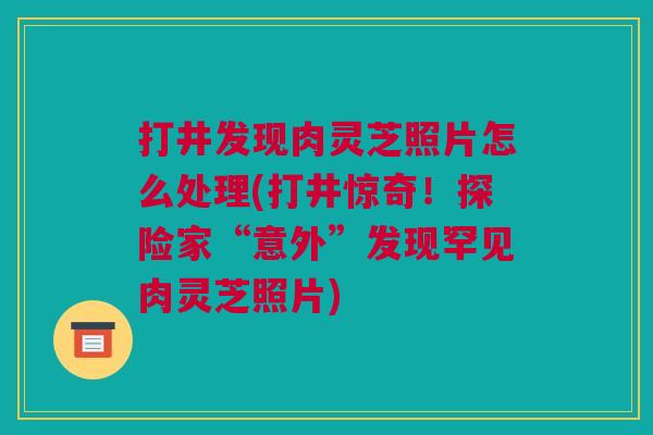 打井发现肉灵芝照片怎么处理(打井惊奇！探险家“意外”发现罕见肉灵芝照片)
