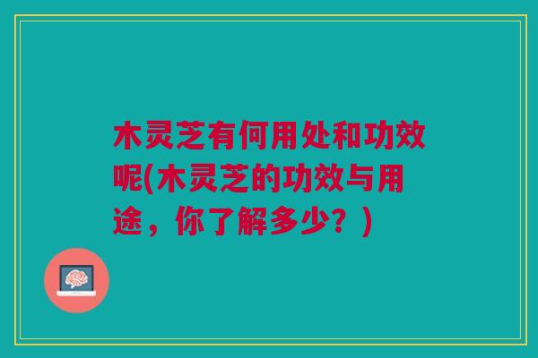木灵芝有何用处和功效呢(木灵芝的功效与用途，你了解多少？)