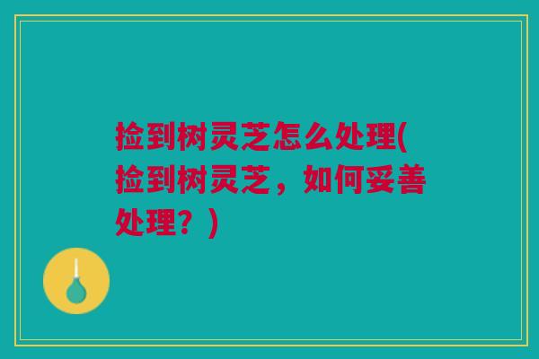 捡到树灵芝怎么处理(捡到树灵芝，如何妥善处理？)