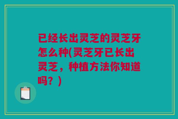 已经长出灵芝的灵芝牙怎么种(灵芝牙已长出灵芝，种植方法你知道吗？)