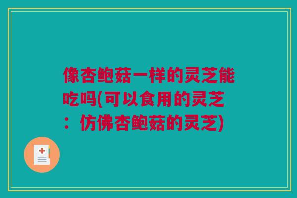 像杏鲍菇一样的灵芝能吃吗(可以食用的灵芝：仿佛杏鲍菇的灵芝)