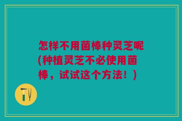 怎样不用菌棒种灵芝呢(种植灵芝不必使用菌棒，试试这个方法！)