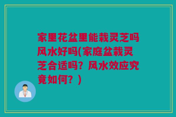 家里花盆里能栽灵芝吗风水好吗(家庭盆栽灵芝合适吗？风水效应究竟如何？)