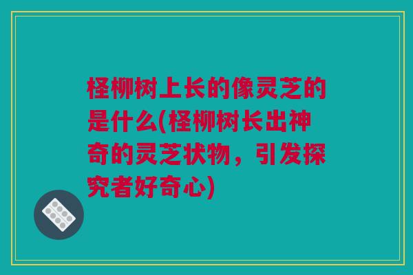 柽柳树上长的像灵芝的是什么(柽柳树长出神奇的灵芝状物，引发探究者好奇心)