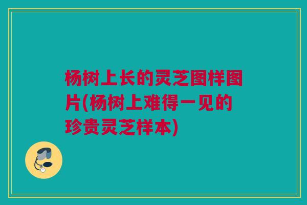 杨树上长的灵芝图样图片(杨树上难得一见的珍贵灵芝样本)