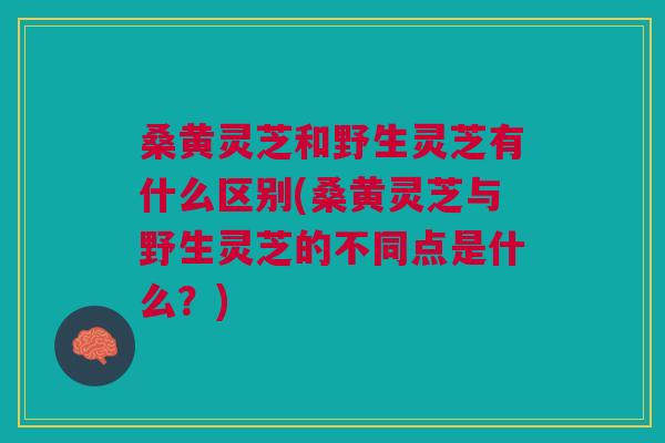 桑黄灵芝和野生灵芝有什么区别(桑黄灵芝与野生灵芝的不同点是什么？)