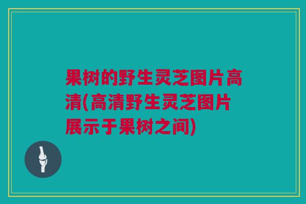 果树的野生灵芝图片高清(高清野生灵芝图片展示于果树之间)