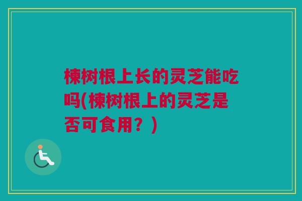 楝树根上长的灵芝能吃吗(楝树根上的灵芝是否可食用？)