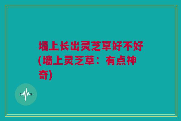墙上长出灵芝草好不好(墙上灵芝草：有点神奇)