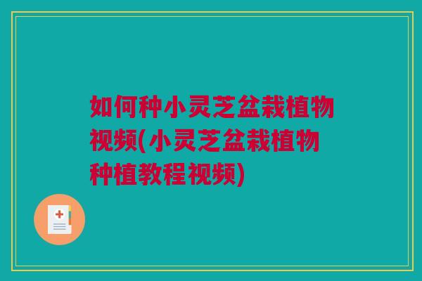 如何种小灵芝盆栽植物视频(小灵芝盆栽植物种植教程视频)