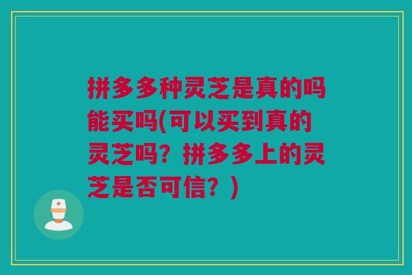 拼多多种灵芝是真的吗能买吗(可以买到真的灵芝吗？拼多多上的灵芝是否可信？)