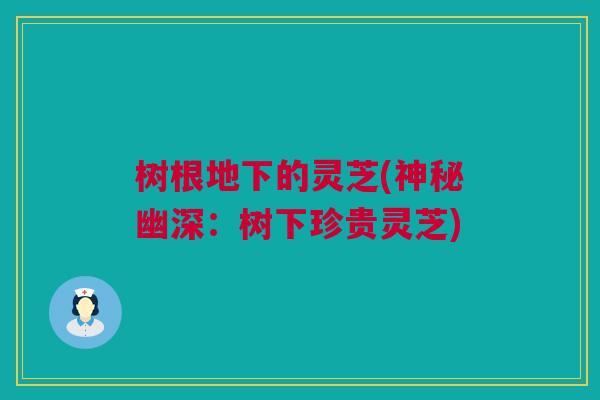 树根地下的灵芝(神秘幽深：树下珍贵灵芝)