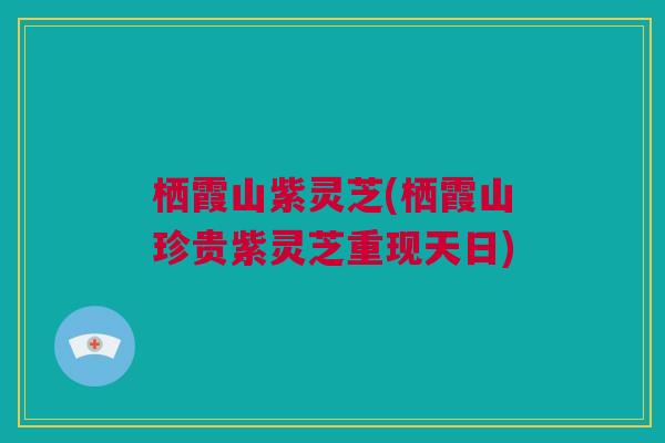 栖霞山紫灵芝(栖霞山珍贵紫灵芝重现天日)