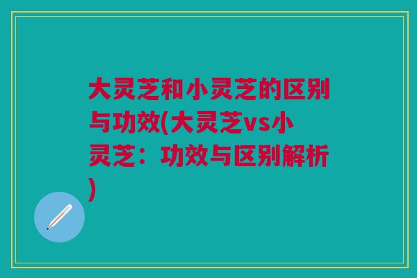 大灵芝和小灵芝的区别与功效(大灵芝vs小灵芝：功效与区别解析)