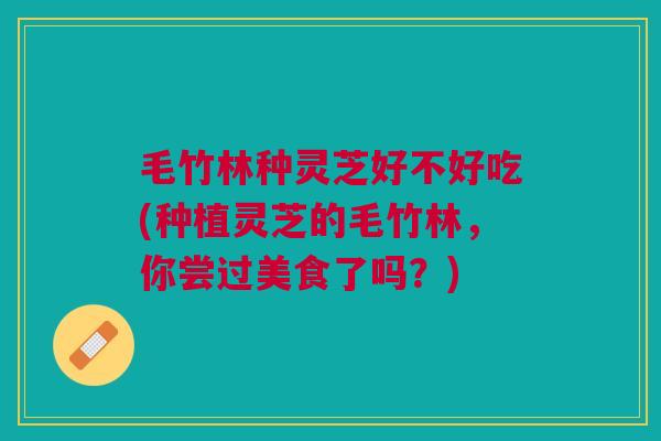 毛竹林种灵芝好不好吃(种植灵芝的毛竹林，你尝过美食了吗？)
