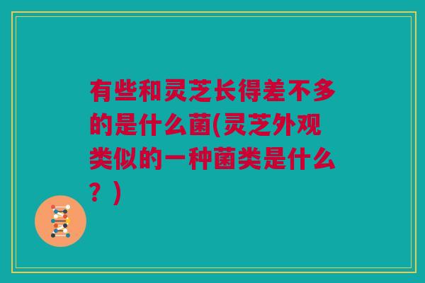 有些和灵芝长得差不多的是什么菌(灵芝外观类似的一种菌类是什么？)
