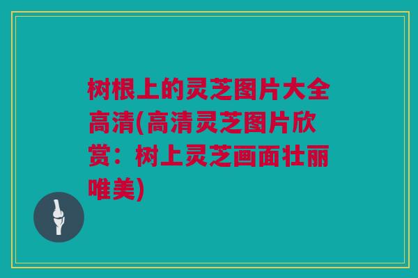 树根上的灵芝图片大全高清(高清灵芝图片欣赏：树上灵芝画面壮丽唯美)