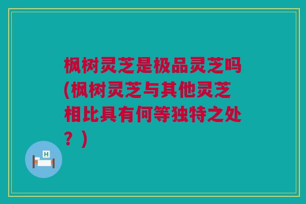 枫树灵芝是极品灵芝吗(枫树灵芝与其他灵芝相比具有何等独特之处？)