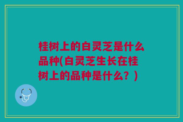 桂树上的白灵芝是什么品种(白灵芝生长在桂树上的品种是什么？)