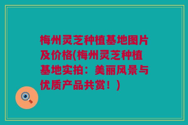 梅州灵芝种植基地图片及价格(梅州灵芝种植基地实拍：美丽风景与优质产品共赏！)
