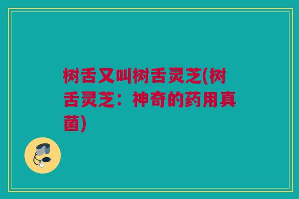 树舌又叫树舌灵芝(树舌灵芝：神奇的药用真菌)