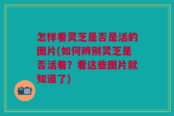 怎样看灵芝是否是活的图片(如何辨别灵芝是否活着？看这些图片就知道了)